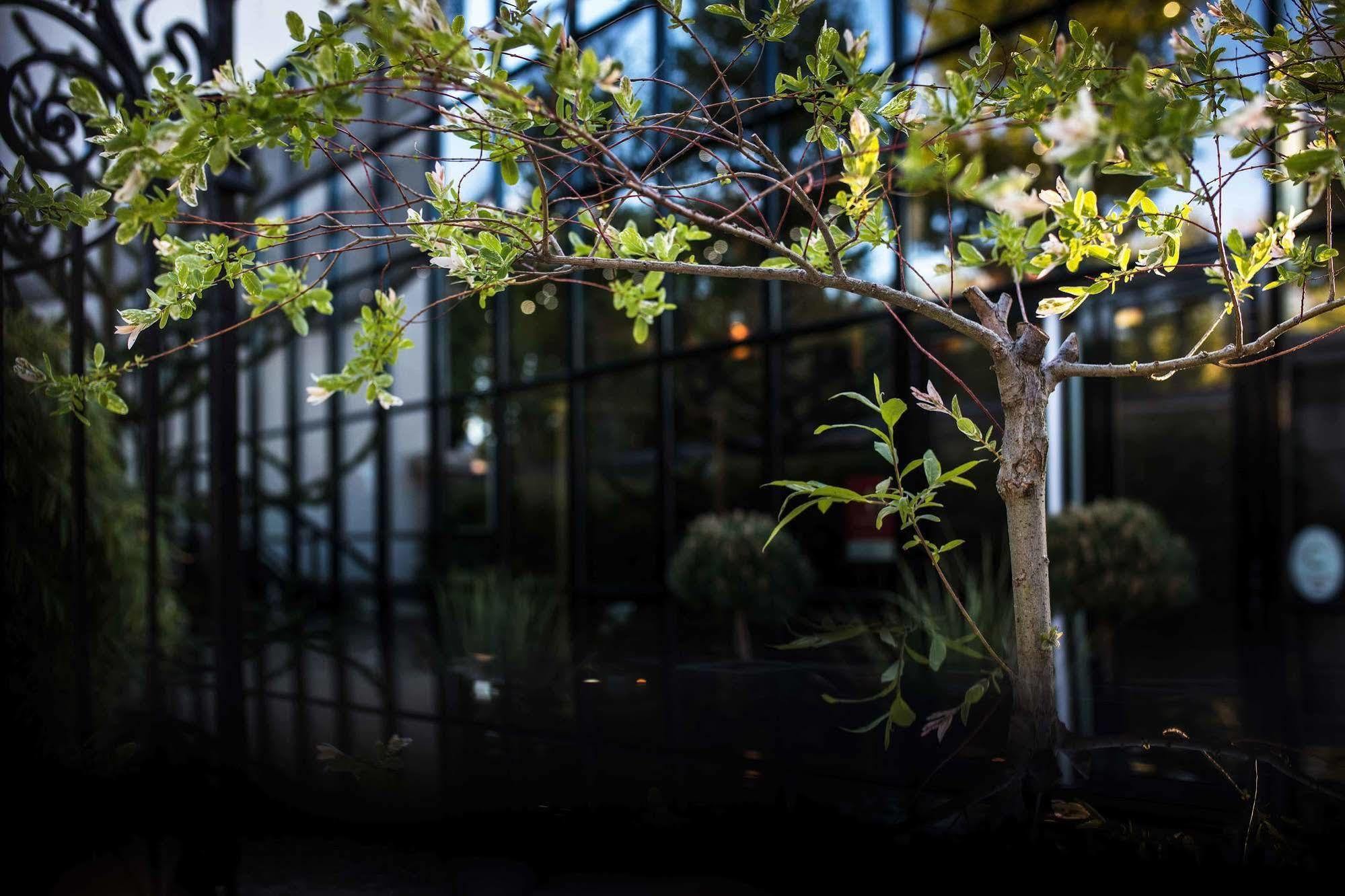 Maison Decoret - Relais & Chateaux Vichy Exterior photo